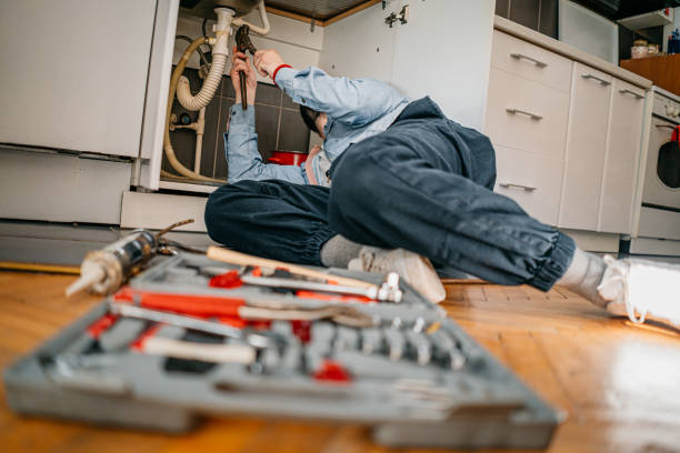 Best Plumbing Services Near Me  in Topaz Ranch Estates, NV