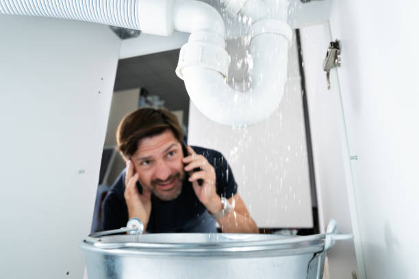 Best Septic Systems  in Topaz Ranch Estates, NV