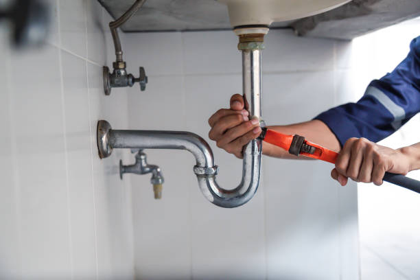 Best Affordable Plumbing Services  in Topaz Ranch Estates, NV