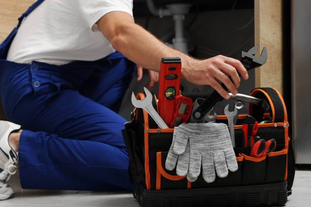Best Clogged Drain Plumber  in Topaz Ranch Estates, NV