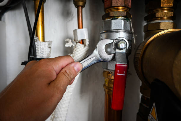 Best Same-Day Plumbing Service  in Topaz Ranch Estates, NV